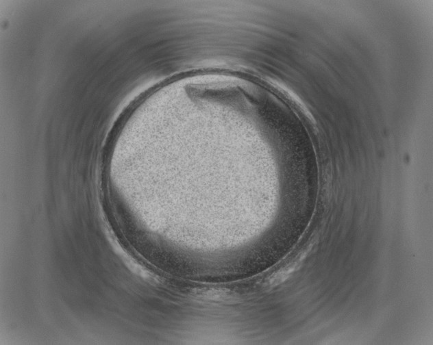 X0000080720991200701051030