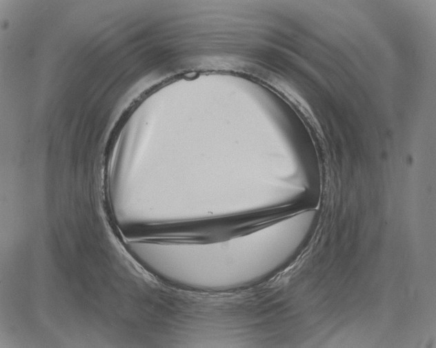 X0000080720992200701051030