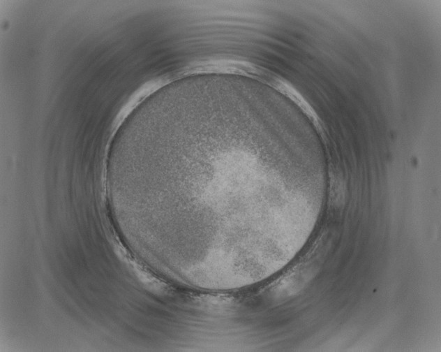 X0000080720994200701051030