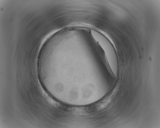 X0000080720995200701051030