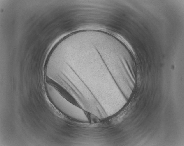 X0000080720996200701051030