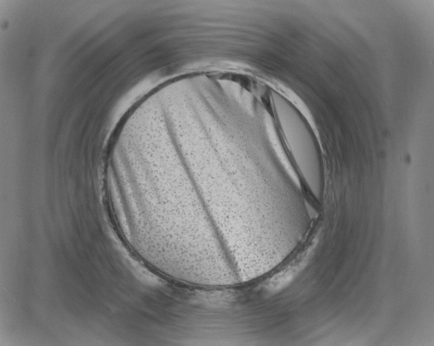 X0000080720997200701051030