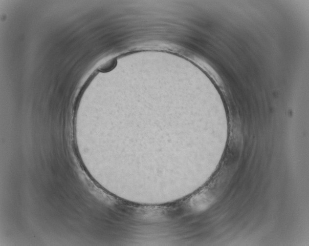 X0000080721000200701051030