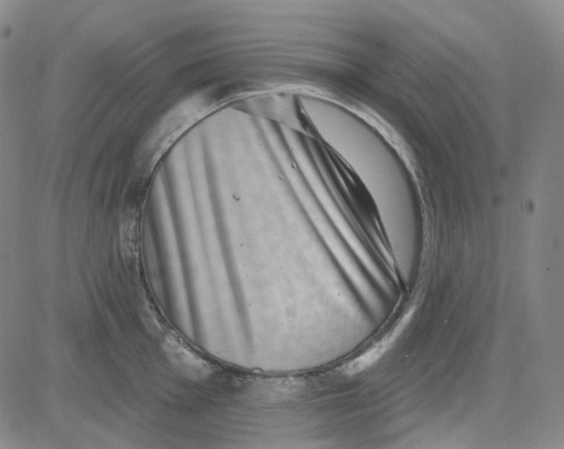 X0000080721001200701051030