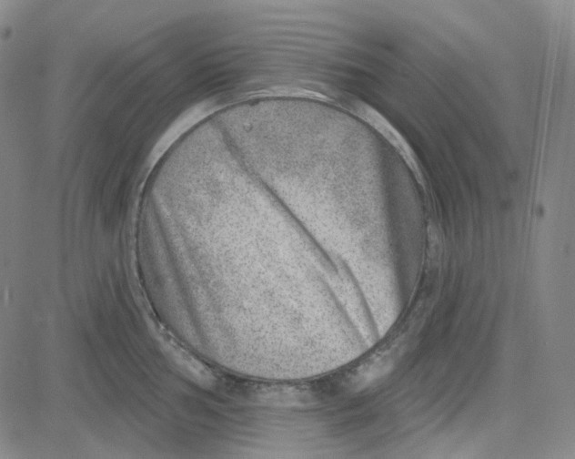 X0000080721002200701051029