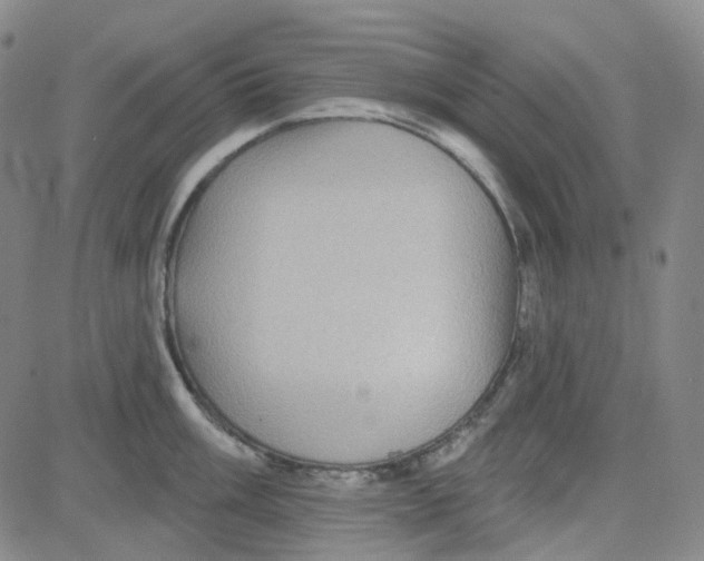 X0000080721003200701051029