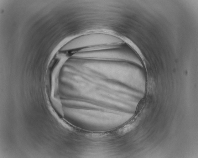 X0000080721005200701051029