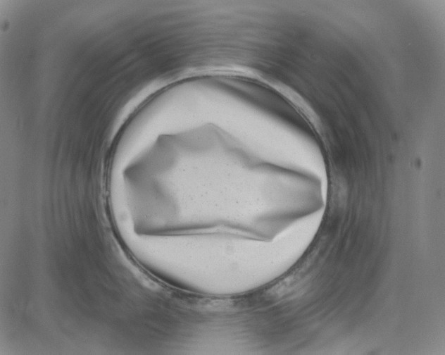 X0000080721006200701051029