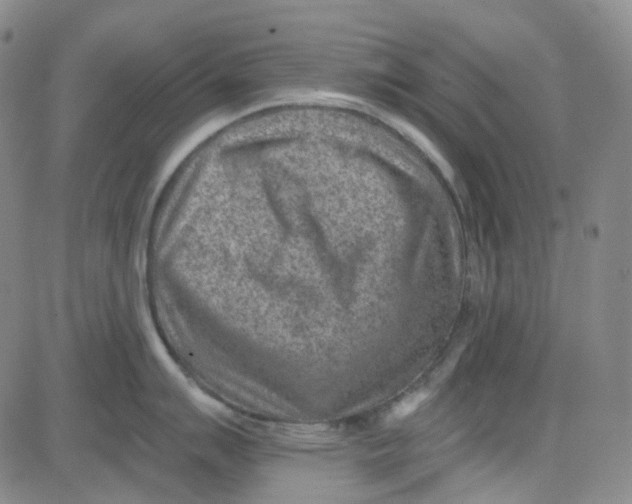 X0000080721007200701051029