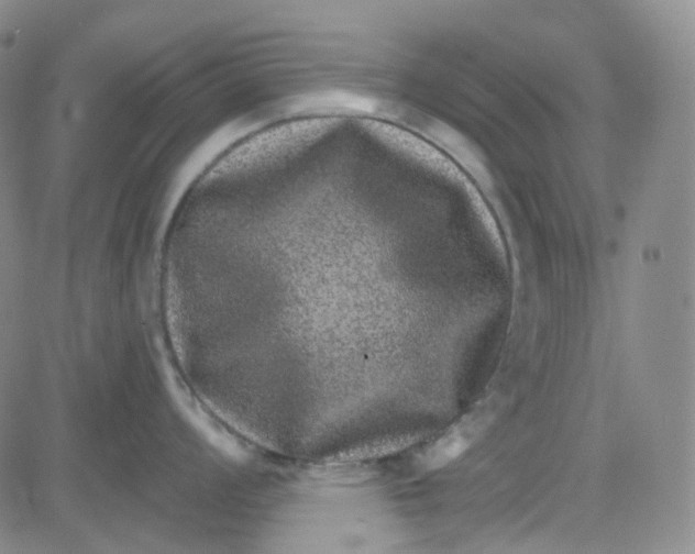 X0000080721008200701051029