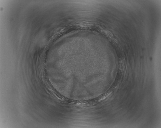 X0000080721009200701051029