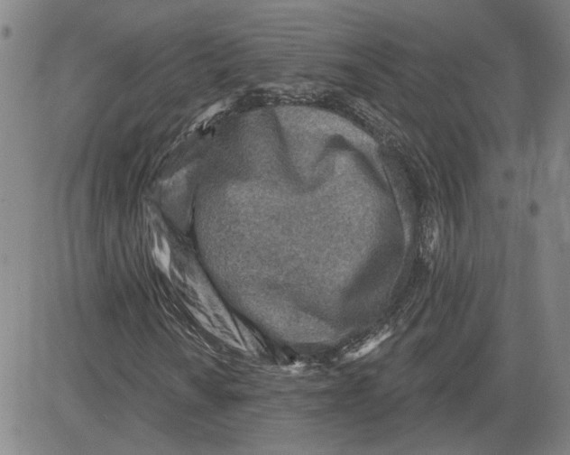 X0000080721010200701051029