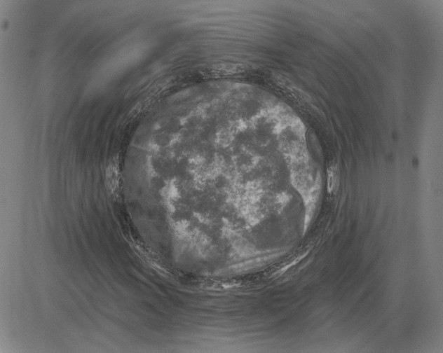 X0000080721011200701051029