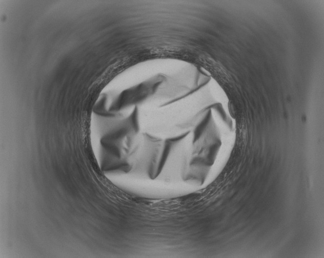 X0000080721012200701051029