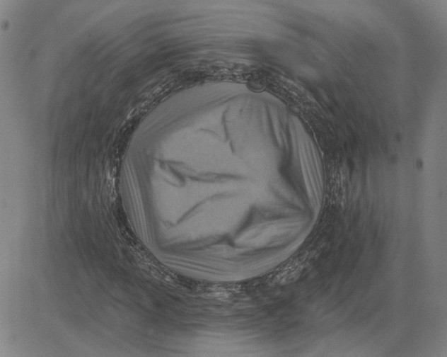 X0000080721013200701051029