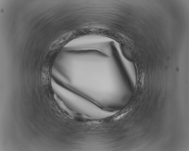 X0000080721014200701051029