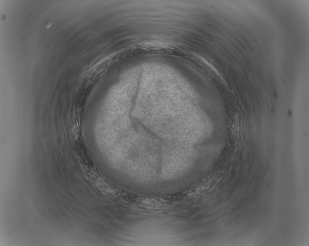 X0000080721015200701051029