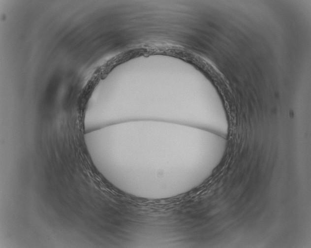 X0000080721016200701051029