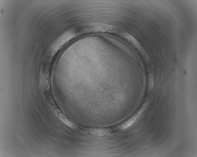 X0000080721018200701051029