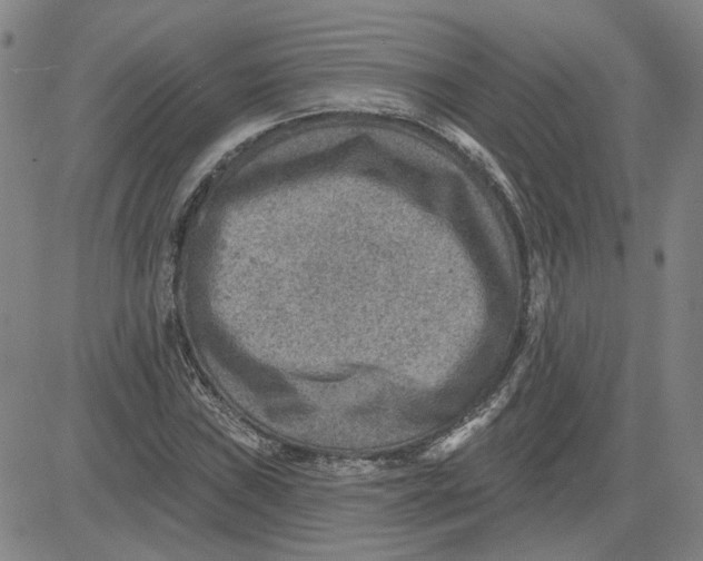 X0000080721019200701051029