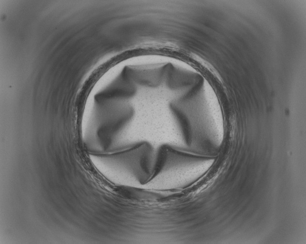 X0000080721021200701051029