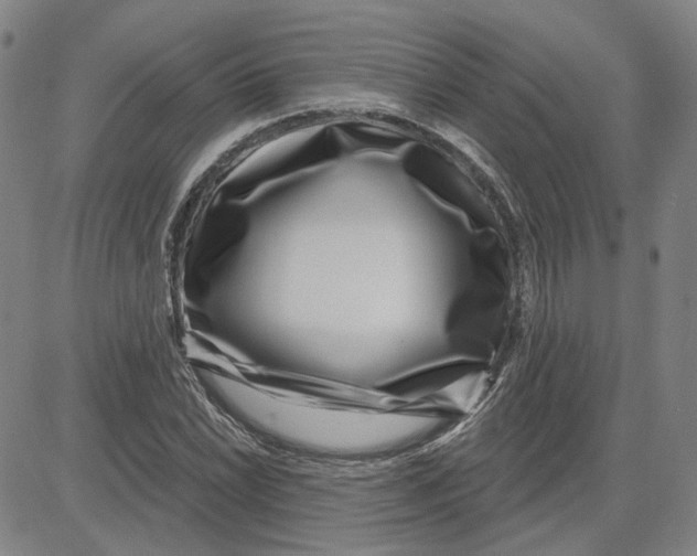 X0000080721022200701051029