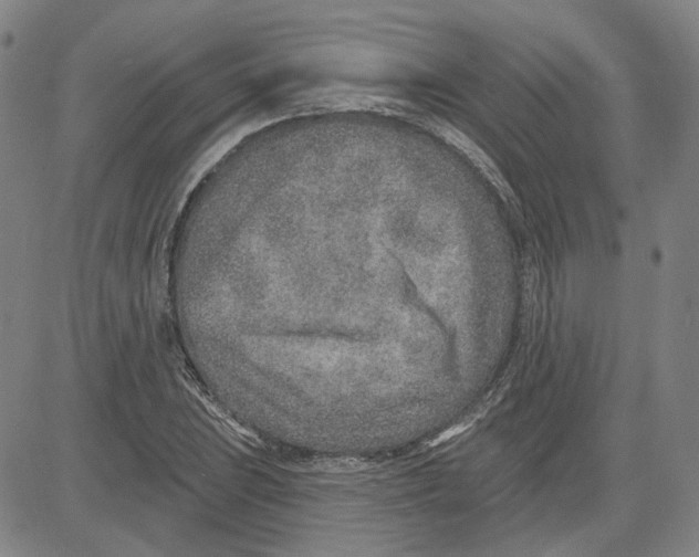 X0000080721023200701051029