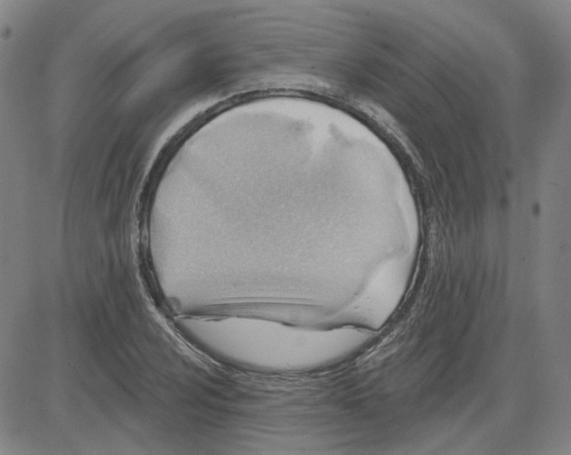 X0000080721024200701051029