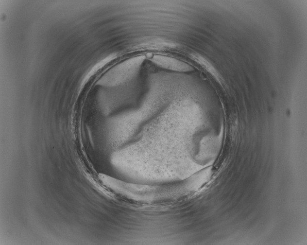 X0000080721026200701051029