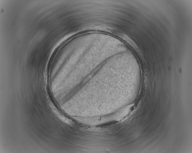 X0000080721028200701051029