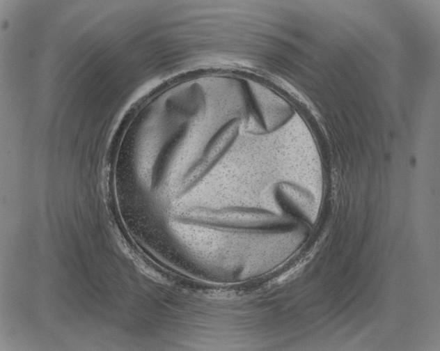 X0000080721029200701051029