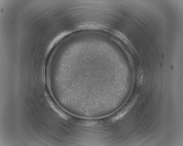 X0000080721030200701051029