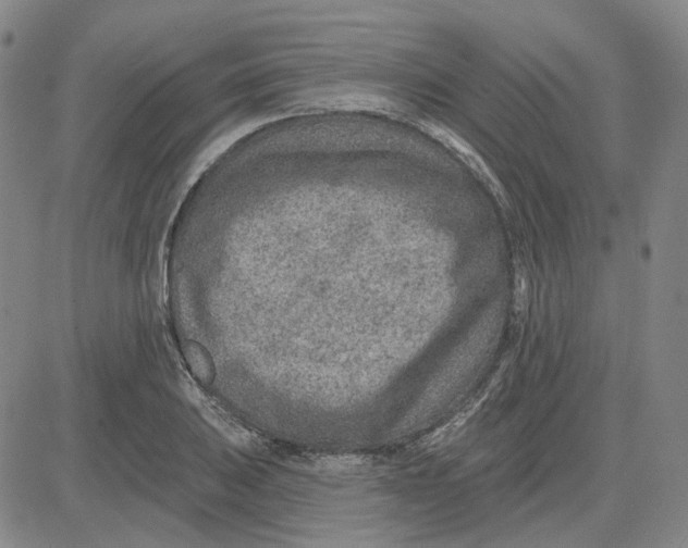 X0000080721031200701051029