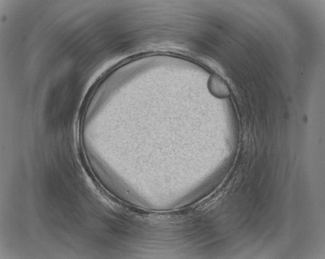 X0000080721032200701051029