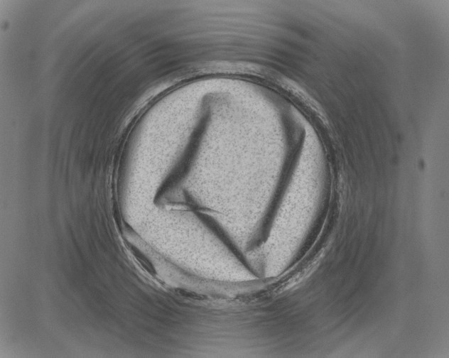 X0000080721033200701051029