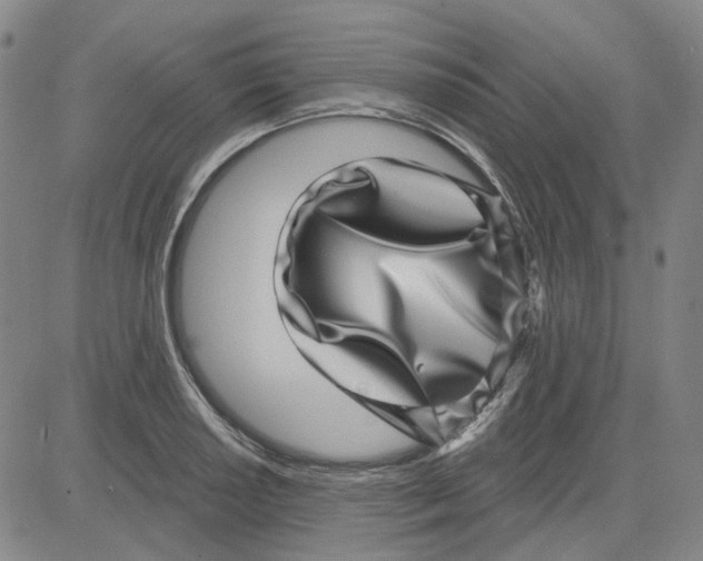 X0000080721034200701051029