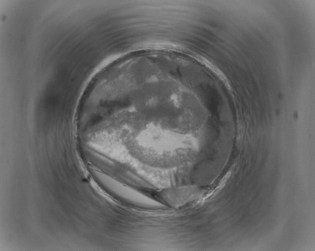 X0000080721037200701051029