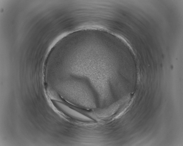 X0000080721038200701051029