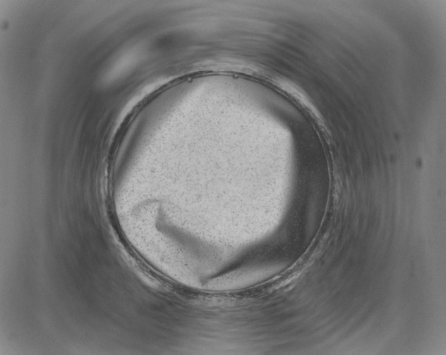 X0000080721040200701051029