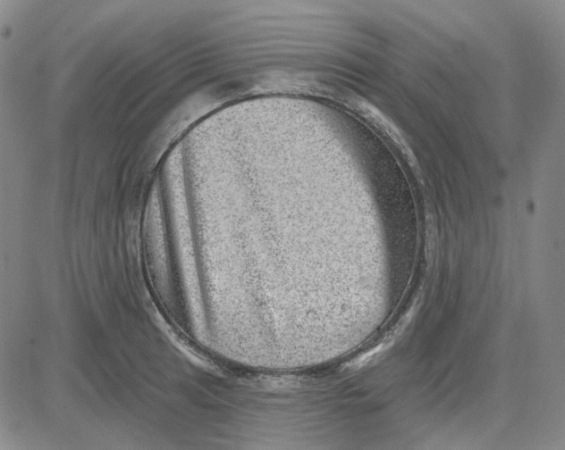 X0000080721041200701051029