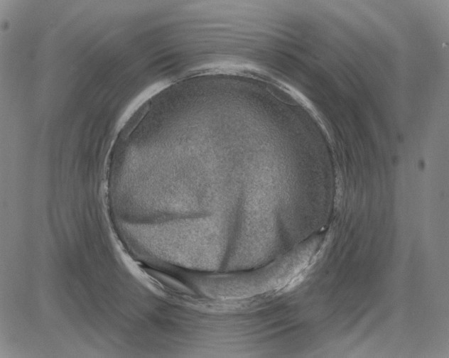 X0000080721042200701051029