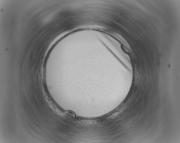 X0000080721044200701051029