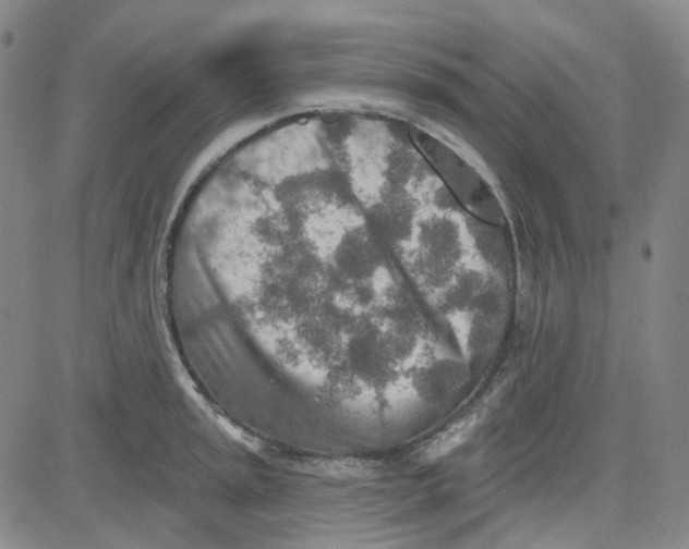 X0000080721045200701051029