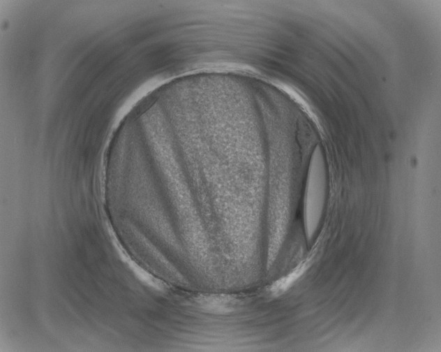 X0000080721046200701051029