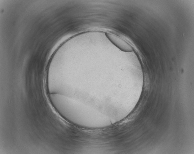 X0000080721048200701051029