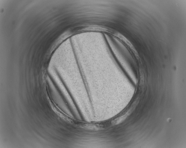 X0000080721049200701051029