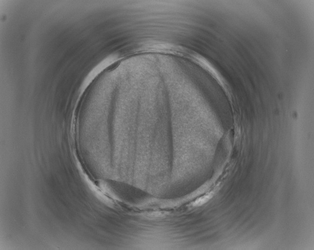 X0000080721050200701051029