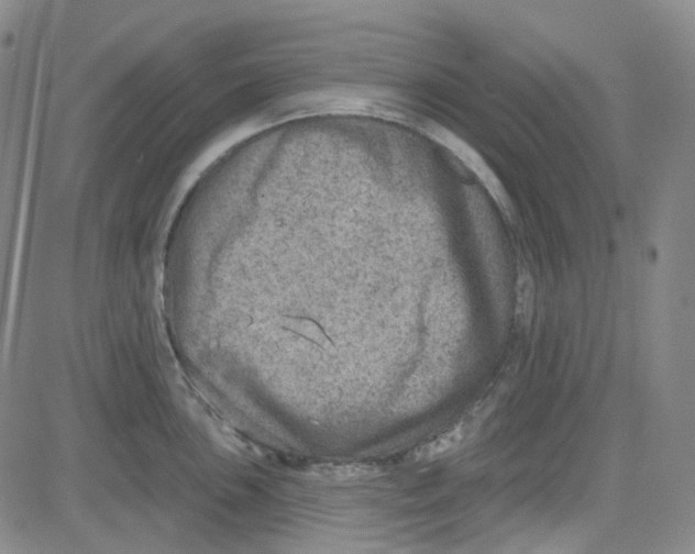 X0000080721051200701051029