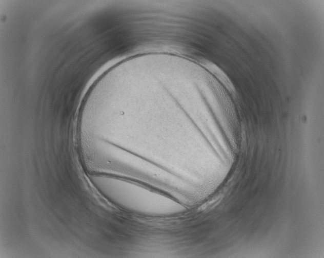 X0000080721052200701051029