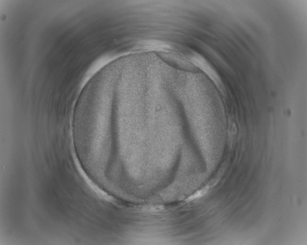 X0000080721055200701051029